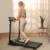 Indoor bodybuilding treadmill folding treadmill 250 pound electric walker 12 preset program aerobic training LCD display silent track home gym, adults