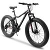 Ecarpat 26 Inch Fat Tires Mountain Bike, 4-Inch Wide Wheel, 21-Speed Disc Brakes, Mens Womens Trail Beach Snow Commuter City Mountain Bike, Carbon Ste