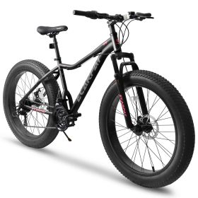 Ecarpat 26 Inch Fat Tires Mountain Bike, 4-Inch Wide Wheel, 21-Speed Disc Brakes, Mens Womens Trail Beach Snow Commuter City Mountain Bike, Carbon Ste (Color: as Pic)